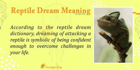 Dream Interpretation: Decoding the Symbolism of a Reptile's Oviposition
