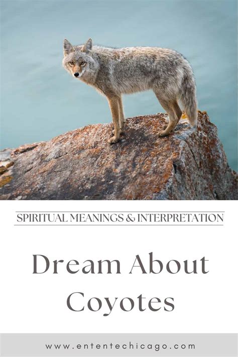 Dream Interpretation: Encountering Coyotes and Wolves