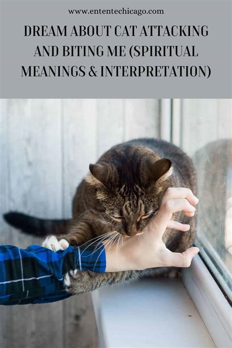 Dream Interpretation: The Significance of a Feline Biting the Neck in a Dream