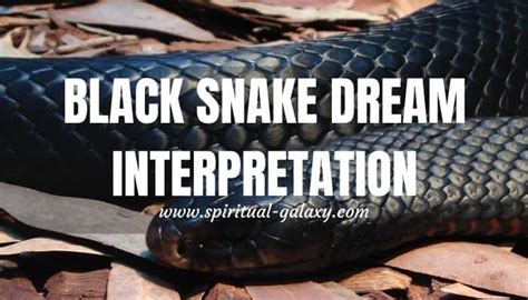 Dream interpretation: Significance of black snakes