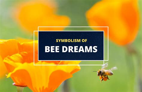 Dreaming of Bees: A Symbolic Exploration