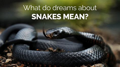 Dreaming of Being Bitten by a Black Cobra: Unraveling the Mysteries
