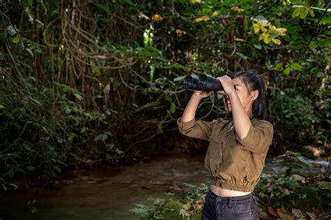 Dreams Come to Life: Discovering the Enchanting Realm of Avian Abodes