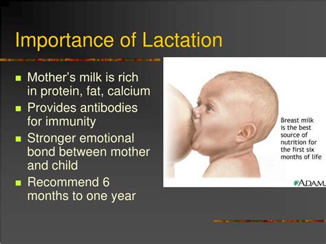 Dreams about Spontaneous Lactation: Analysis and Significance
