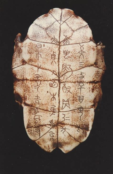 Dreams and Divination in Ancient China: Exploring the Daoist Tradition of Oracle Bones