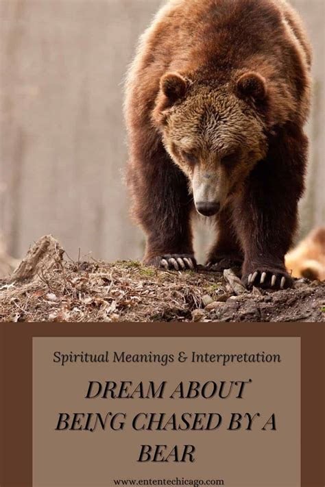 Dreams of Being Pursued: Deciphering the Symbolism Associated with Brown Bears