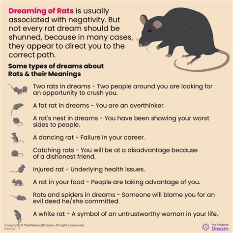 Dreams of Cats Hunting Rats: Symbolism and Interpretation