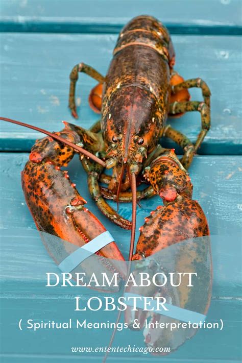 Dreams of Crabs and Lobsters: What Do They Symbolize?