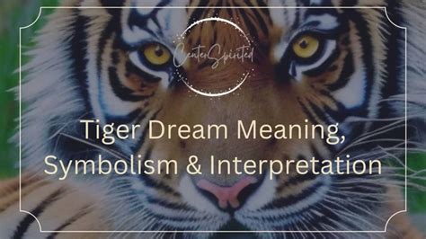 Dreams of Tiger Attacks: Decoding their Symbolism