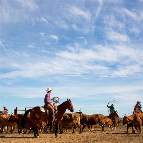 Embark on an Unforgettable Journey at Dude Ranches: Embrace the Authentic Cowboy Adventure