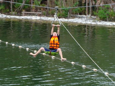 Embrace Your Inner Tarzan: Swaying through the Canopy on Treetop Rope Swings
