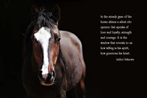Embrace the Courage and Determination of a Dynamic Stallion