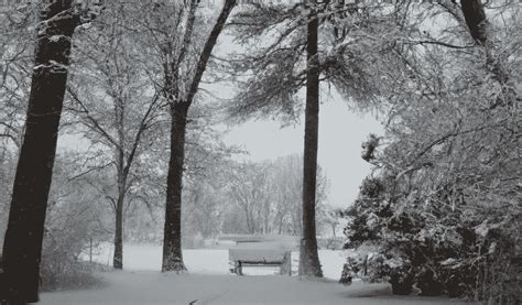 Embrace the Snowy Landscape: Exploring Winter Wonderlands on Four Wheels