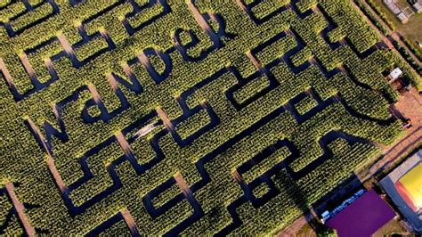 Embracing the Chaos: Discovering the Allure of Urban Mazes