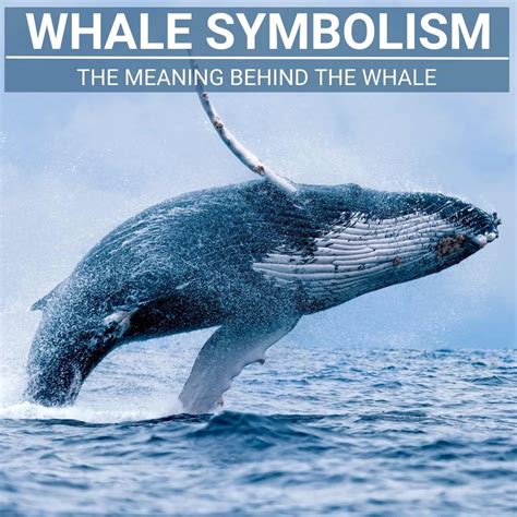 Embracing the Strength of Whales: Infusing Symbolism into Everyday Life