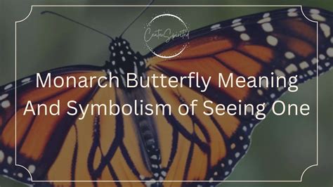 Embracing the Symbolic Significance of Butterflies in Interpreting Dreams