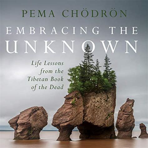 Embracing the Unknown: Embodying the Lessons Encoded in the Vision