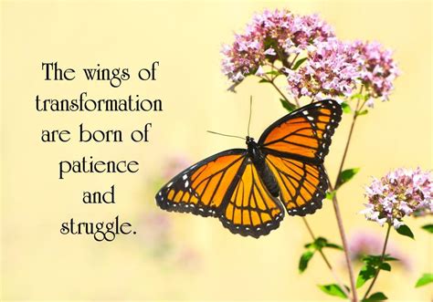 Emotional Rebirth and Transformation