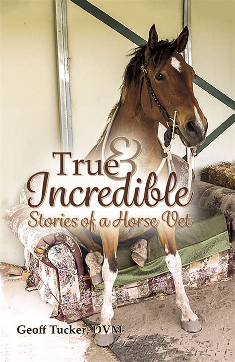 Encounters with the Sinister Equine: Real-Life Stories