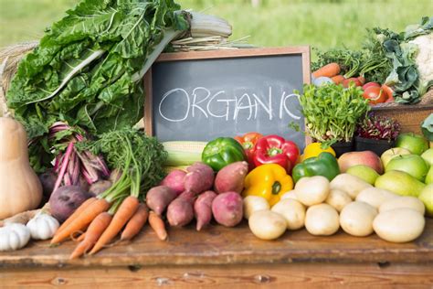 Engaging in Sustainable and Organic Living