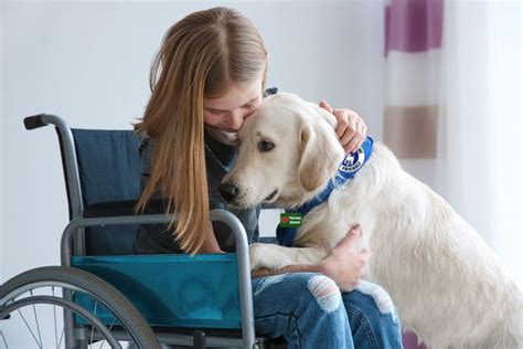 Enhancing Mental and Emotional Well-being through the Companionship of a Canine