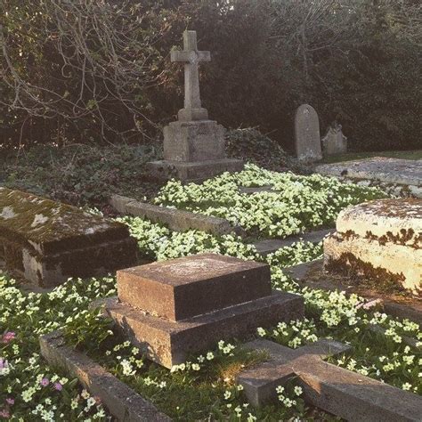 Enhancing the Aesthetics of a Graveyard: Elements and Features that Accentuate its Splendor