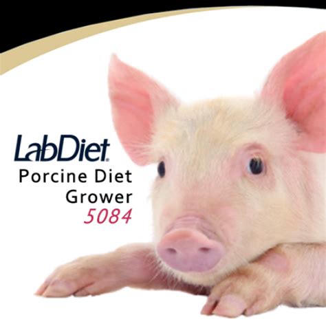 Ensure Optimal Nutrition and Healthcare for Your Porcine Companion