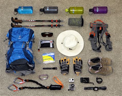 Essential Gear for a Successful Squid Expedition