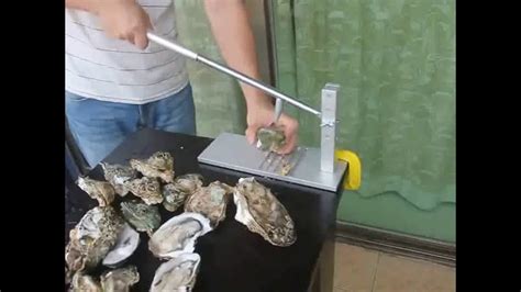 Essential Tools for a Successful Oyster Gathering Experience