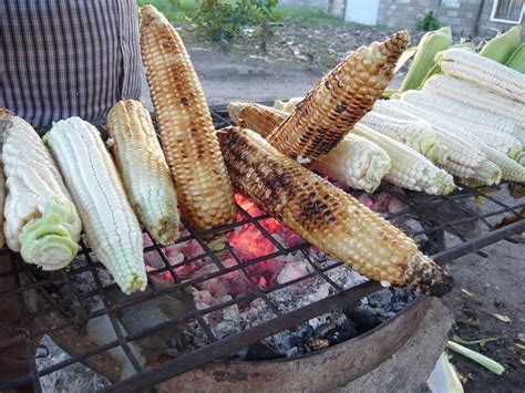 Evaluating the Quality and Freshness of Delectable Roasted Maize