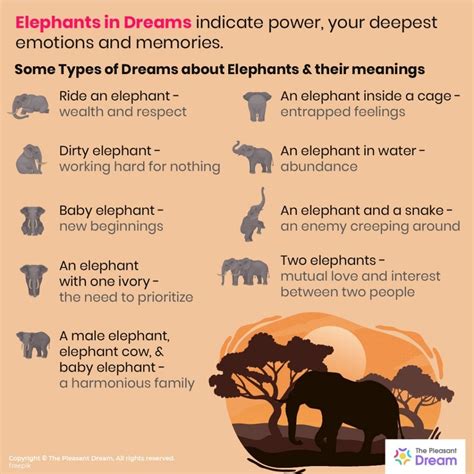 Examining the Psychological Connotations of Elephant Cleansing Dreams