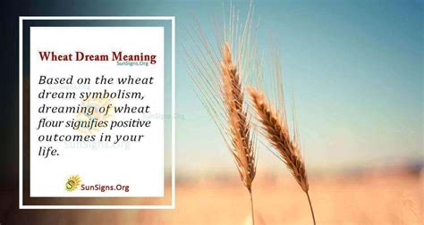 Examining the Significance of Dreaming about the Harvest of Wheat