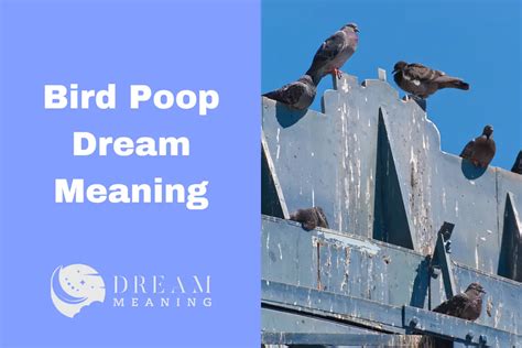 Experience Unexpected Fortune and Opportunities with Bird Droppings Dreams