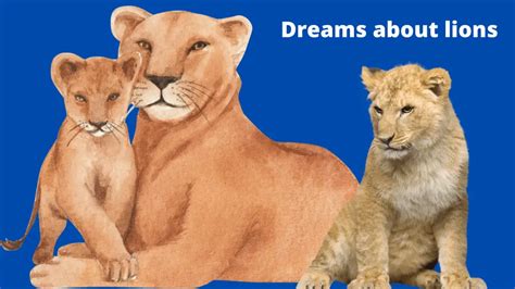 Experience the Thrill of Dream About Lions Races