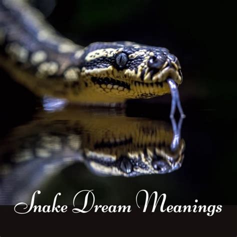 Exploring Common Dream Scenarios Involving Snakes