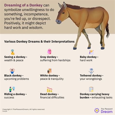 Exploring Common Dream Scenarios Involving Young Donkeys and Their Symbolic Analysis