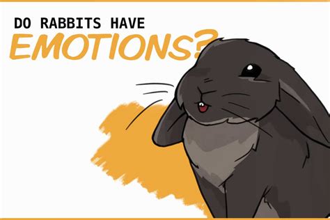 Exploring Common Emotions Linked to Rabbit Bite Dreams