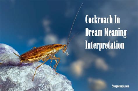 Exploring Common Themes and Patterns in Dreams Featuring Cockroach Excrement