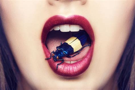 Exploring Communication Issues Reflected in Dreams of Insects in the Mouth
