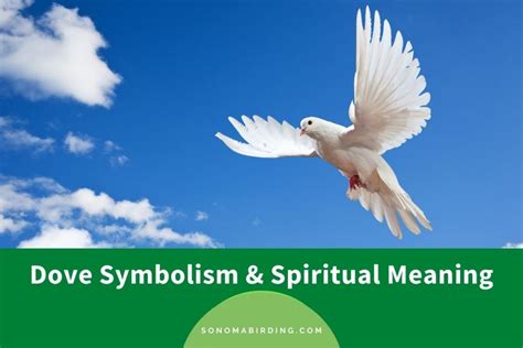 Exploring Cultural Perspectives: Symbols of White Doves in Various Traditions