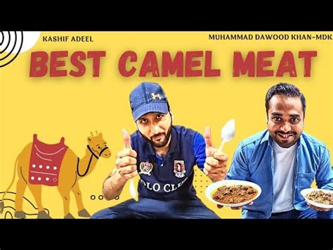 Exploring Cultural Significance: Camel Meat in Traditional Cuisines