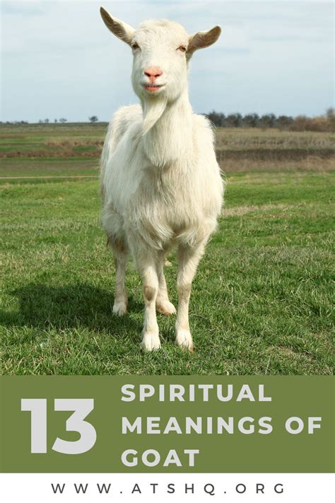 Exploring Cultural and Mythological Interpretations of Goat Symbolism