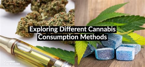 Exploring Different Consumption Methods of Cannabis