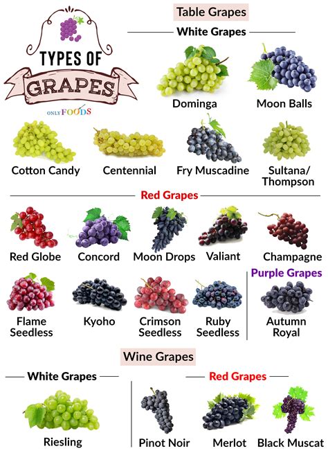 Exploring Different Grape Varieties to Suit Your Unique Tastes
