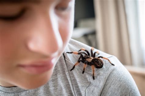 Exploring Exposure Therapy: Confronting Arachnophobia Head-on