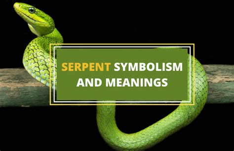 Exploring Symbolism: Deciphering the Meaning of Serpents in Dreams