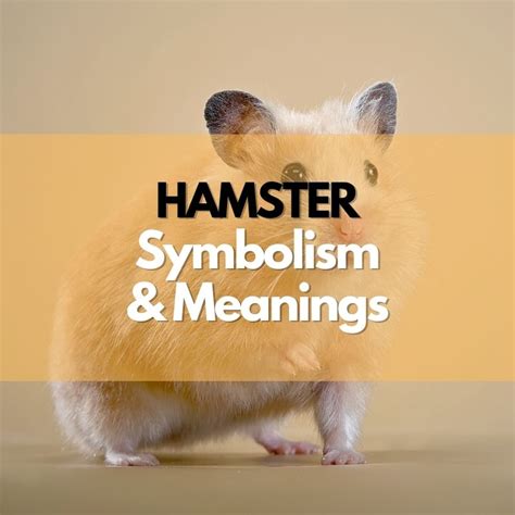 Exploring Symbolism in Dreams: What Does a Hamster Represent?