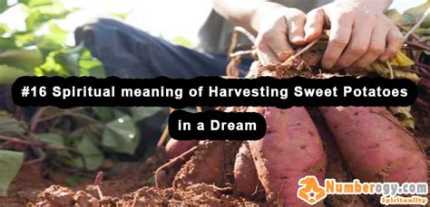Exploring the Concealed Messages within Your Dream of Harvesting Potatoes