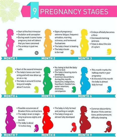 Exploring the Cultural Perspectives on Dreams of Completing a Full Nine-Month Pregnancy Journey