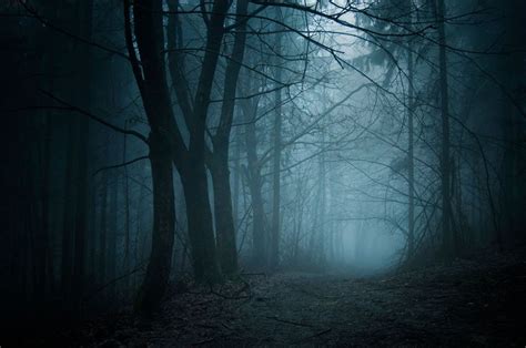 Exploring the Cultural Significance of Eerie Night-Time Experiences